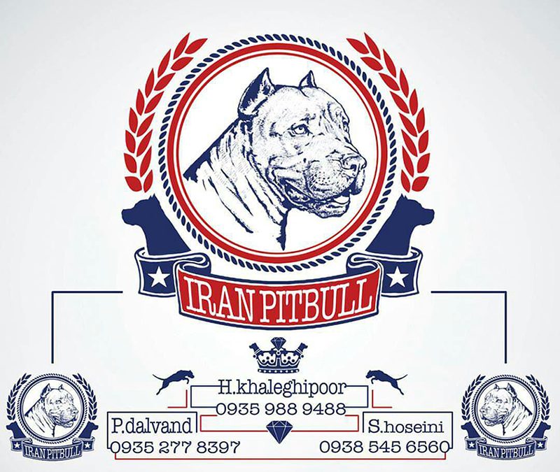 IRANPITBULL